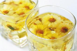 经常喝菊花茶好不好 常喝菊花茶危害