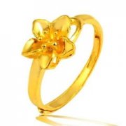 �ܹ������μ�����һ�����ָ��Ԣ��