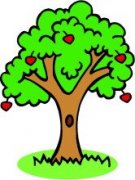 �ܹ������ƽ��ȫ�ܶ����Ͻ����ɫ��ʵ