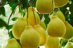 �ܹ����δ�ȫ �и��μ�������