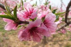 �ܹ����δ�ȫ �μ��һ���