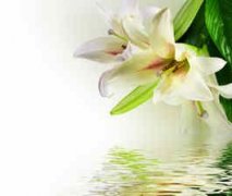 �ܹ������ƽ��ȫ�и��μ��ٺϻ�