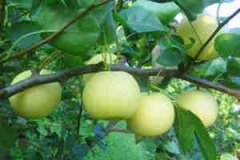 �ܹ������ƽ��ȫ�и��μ������ξ�����