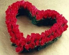 �ܹ����λ���Ԣ�� �μ�������