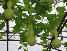 �ܹ������ƽ��ȫ�и��μ���«