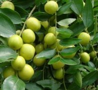 �ܹ������и��μ������ξ�����