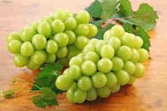 �ܹ������ƽ��ȫ�и��μ��������ξ�����