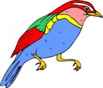 �ܹ�����ץ�� �μ�ץ���Ԣ��