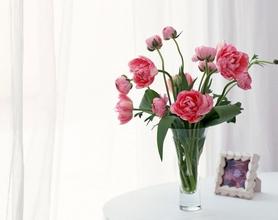 ���ڲ��˰ڷŵ�ֲ�� ��Щ���ܲ��ʺϷ��ڼ���