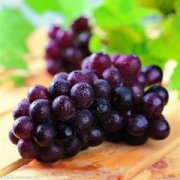 �ܹ������ƽ��ȫ�μ������ѵ�Ԣ��