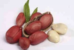 �ܹ������ƽ��ȫ֮�μ�������Ԣ��