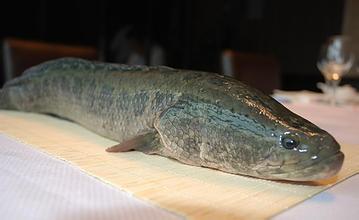 ȥ���г������ʱ���м�&ldquo;��&rdquo;��һ���ǻ���