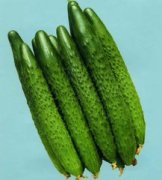 �ܹ������ƽ��ȫ֮�μ��ƹϵ�Ԣ��