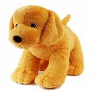 �ܹ������μ�è���ò���