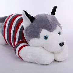 梦见狗咬死猫