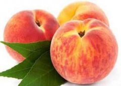 �и��μ����� �ܹ����γ���