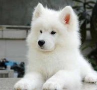 �μ���ҧ��è�ò���