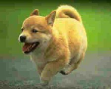 �ܹ������μ������ξ�����������