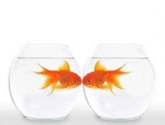 �ܹ����δ�ȫ�μ��� �����ε����Ԣ��