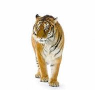 �и��μ��ϻ� �ܹ������ϻ�