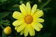 �и��μ��ص� �ܹ����ηص�