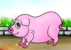 �и��μ�����ɱ�� �μ�ɱ���ܹ�����