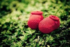 �μ�����˵�� �����μ�������˵��ʲô��˼