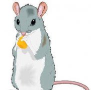 �и��μ�������ʲô��˼ �ܹ���������