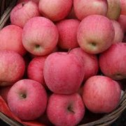 �μ�ƻ����ʲô��˼ �ܹ������μ�ƻ����Ԣ��