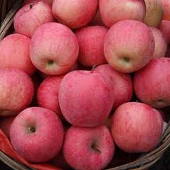 梦见苹果是什么意思