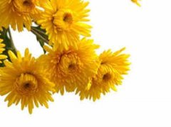 �μ��ײĺ����� �ܹ����������ε��ײĺ�����