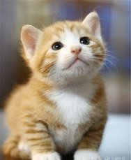 �ܹ����δ�ȫ��