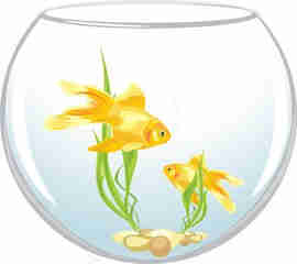 �μ������ö���