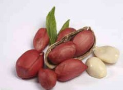 �μ������ܹ����� �μ�������ʲôԢ��