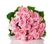 �μ�õ�廨��ʲô��˼ �ܹ������μ�õ�廨