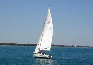 �����˶�������