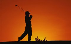 �Ӹ˵����༼�� �������Ӹ�