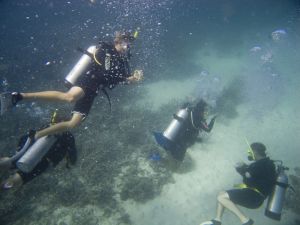 ����Ǳˮ���ɼ�ע������