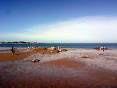 �����Ӿ��ע������ ��ȫ��Ӿ��ϸ��