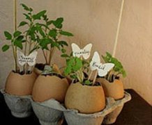 �ֹ�diy�̵̳������� ���������������