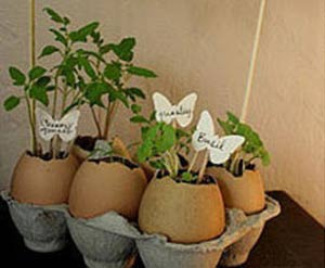 手工diy教程蛋壳盆栽 如何制作蛋壳盆栽