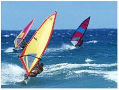 ˮ���˶���Ŀ����Щ ˮ���˶�������Щ��Ŀ