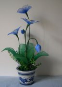 ˿�����廨�����̳� ˿�������������������