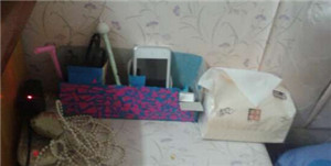 利用废旧纸盒DIY成集物盒