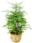 �춹ɼ����ֳ���� �춹ɼ����ֳ������ע������