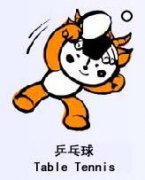 �ڰ��˻��ƹ����ı�������