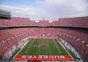 ��ʽ������淨