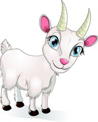 Ħ����������ָ������