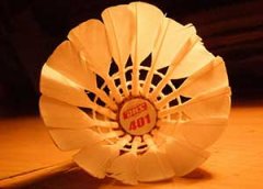 ����ë����α����ֱ� ����Щ����