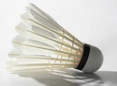 ����ë��ļ��� ���������ë��